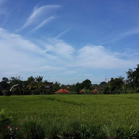 Kun - Kun Guest House Ubud Ngoại thất bức ảnh