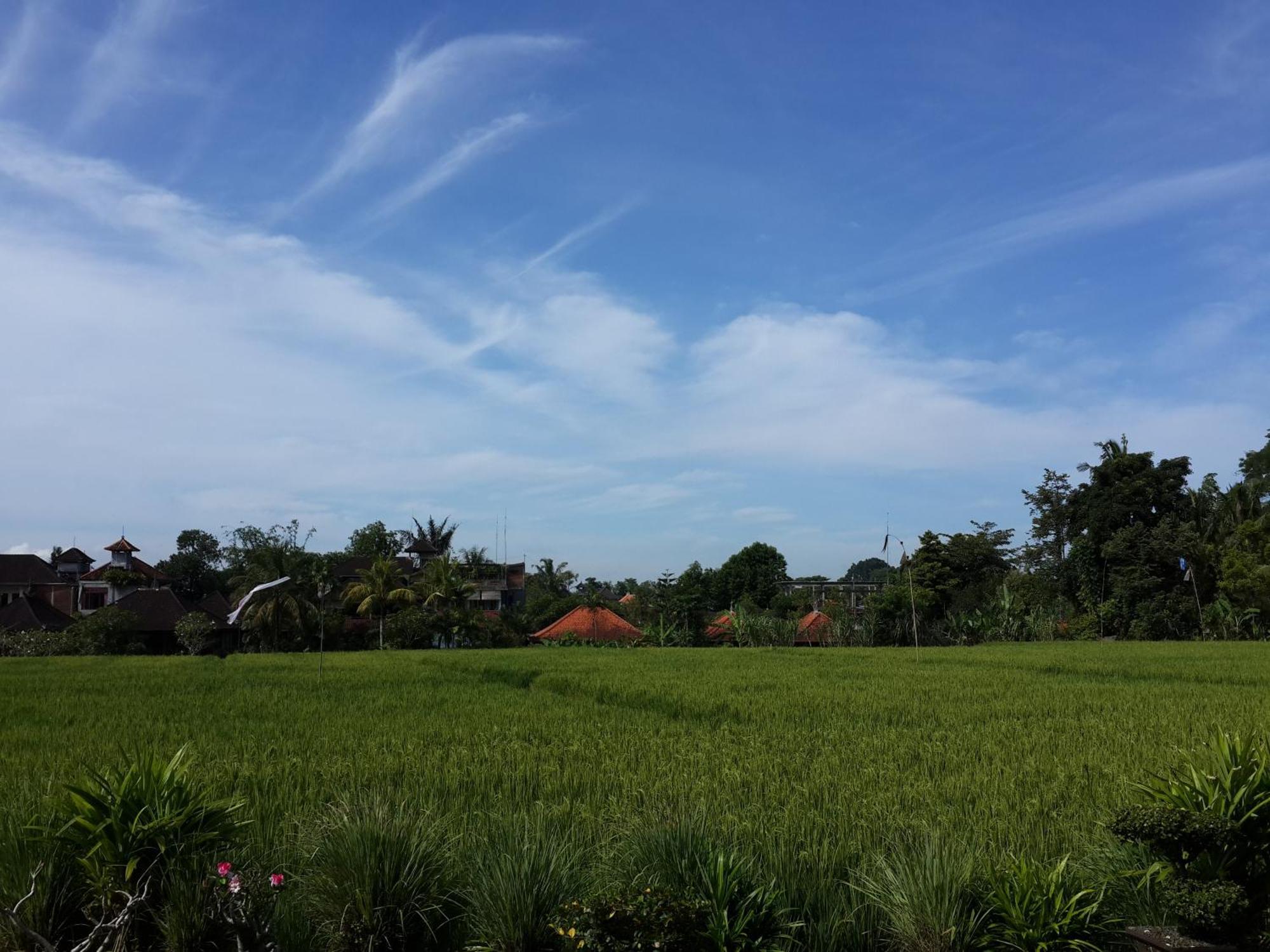 Kun - Kun Guest House Ubud Ngoại thất bức ảnh